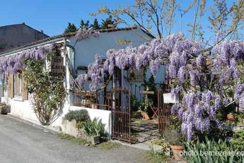 Maison Coquelicots - 4 Personnes - Jardin Mornac-sur-Seudre Exterior foto